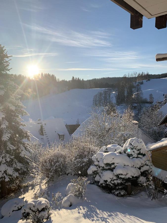 Ferienhaus Rotzinger Hinterzarten Exteriör bild