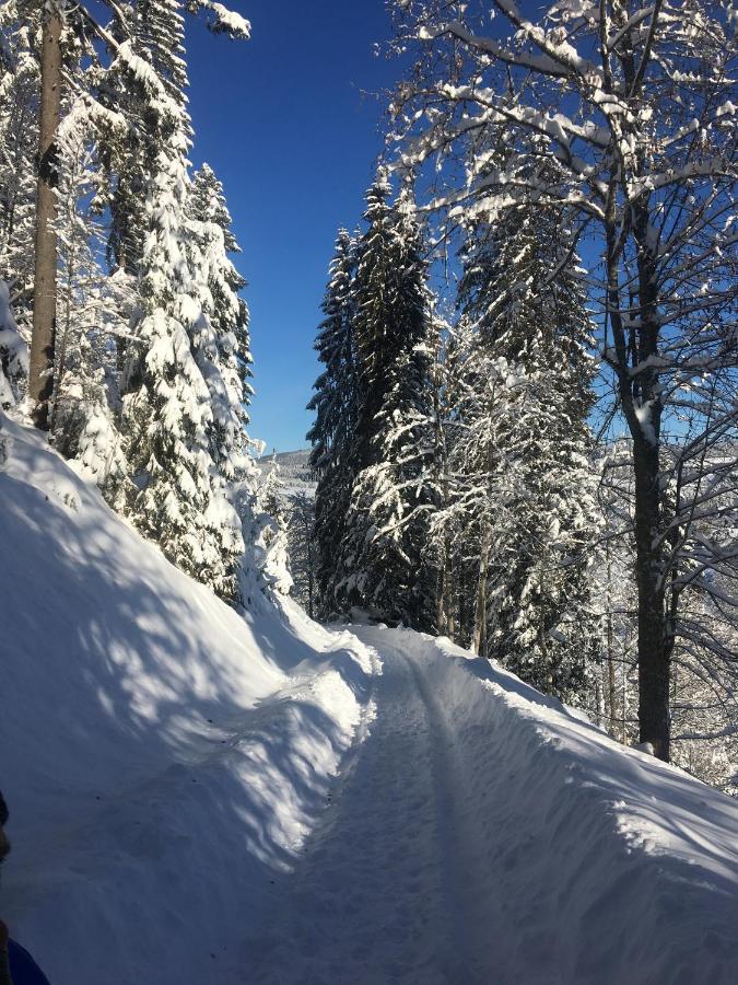 Ferienhaus Rotzinger Hinterzarten Exteriör bild