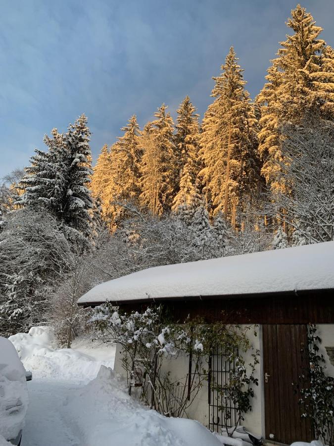 Ferienhaus Rotzinger Hinterzarten Exteriör bild